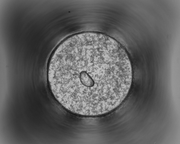 X0000093160836200710101152