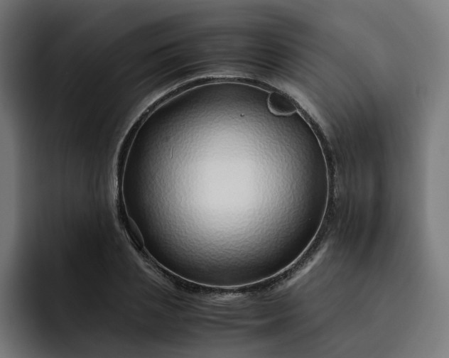 X0000093160837200710101152