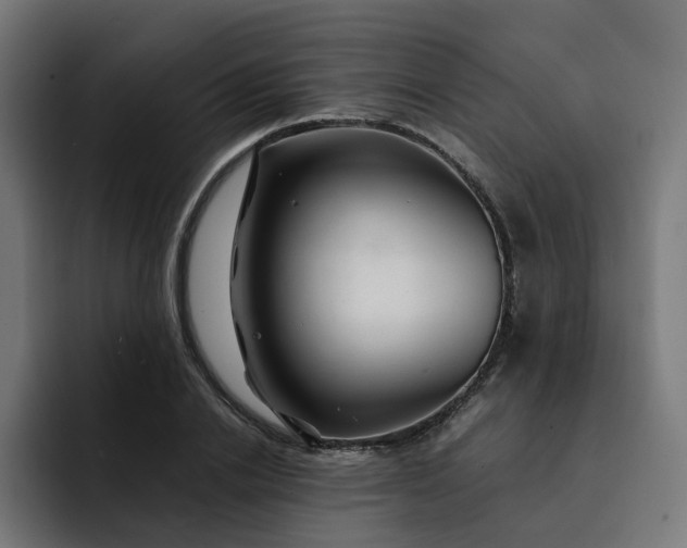 X0000093160838200710101152