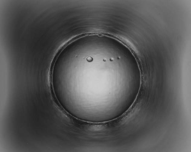 X0000093160839200710101152
