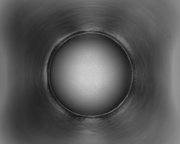 X0000093160840200710101152