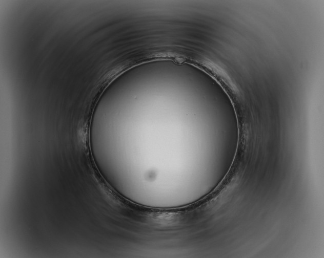 X0000093160841200710101152
