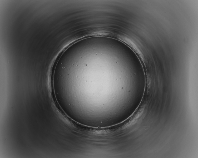 X0000093160843200710101152