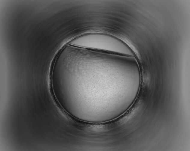X0000093160845200710101152