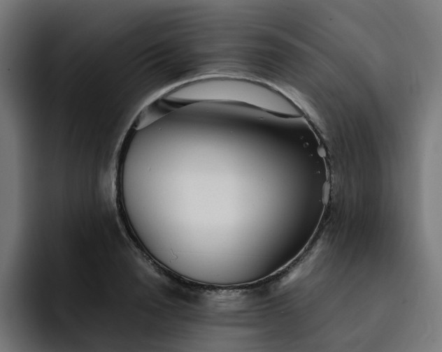 X0000093160846200710101152