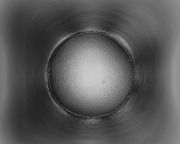 X0000093160847200710101152