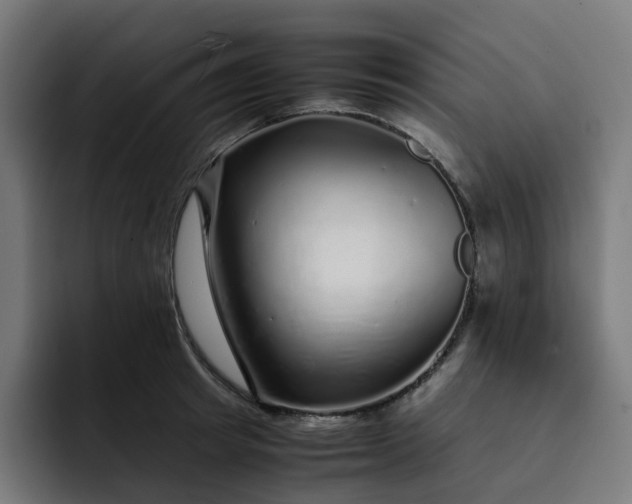 X0000093160849200710101152