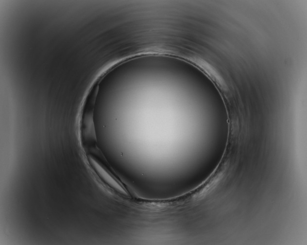X0000093160854200710101153