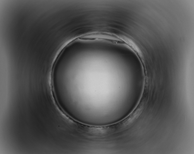 X0000093160855200710101153