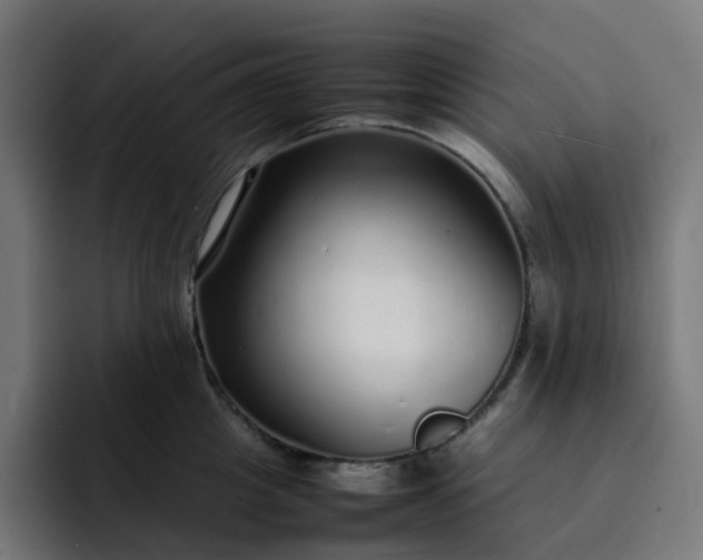 X0000093160857200710101153