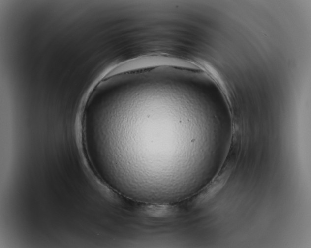 X0000093160859200710101153