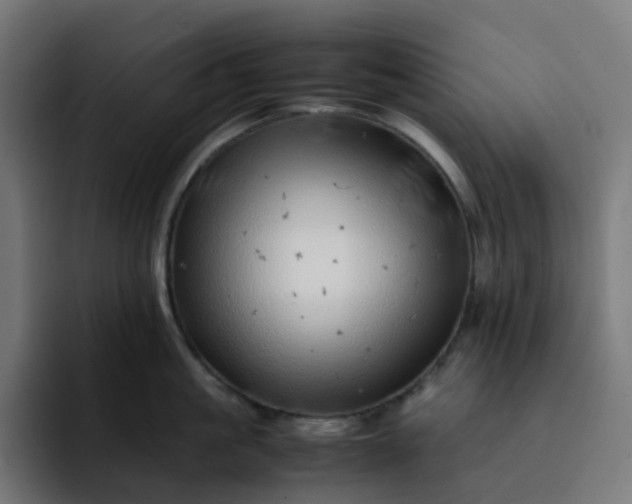 X0000093160861200710101153