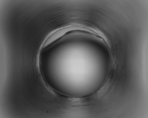 X0000093160862200710101153