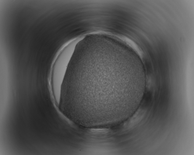 X0000093160863200710101153