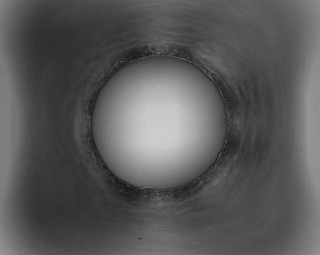 X0000093160865200710101152