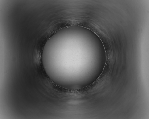 X0000093160866200710101152