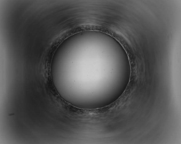 X0000093160870200710101152