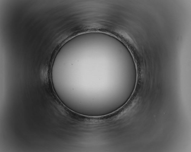 X0000093160873200710101152