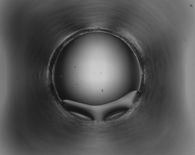 X0000093160876200710101152