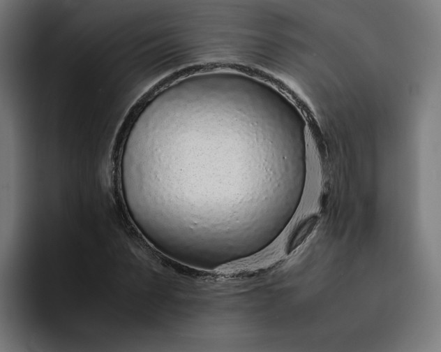 X0000093160879200710101152