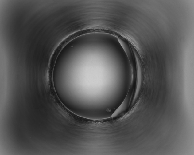 X0000093160880200710101152