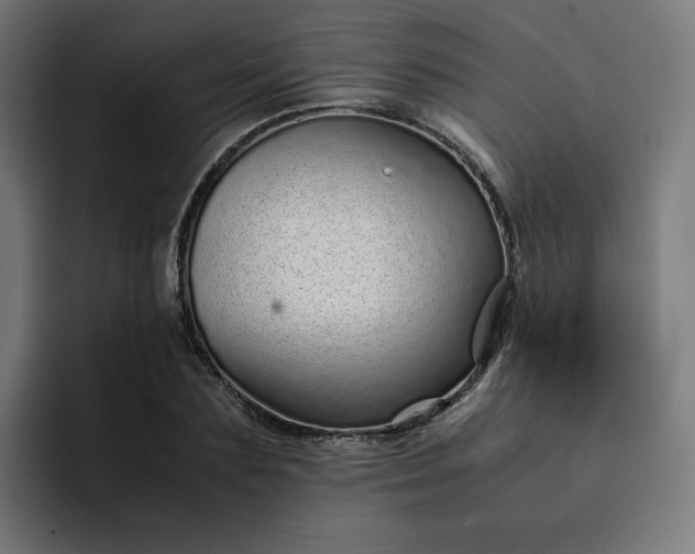 X0000093160883200710101152