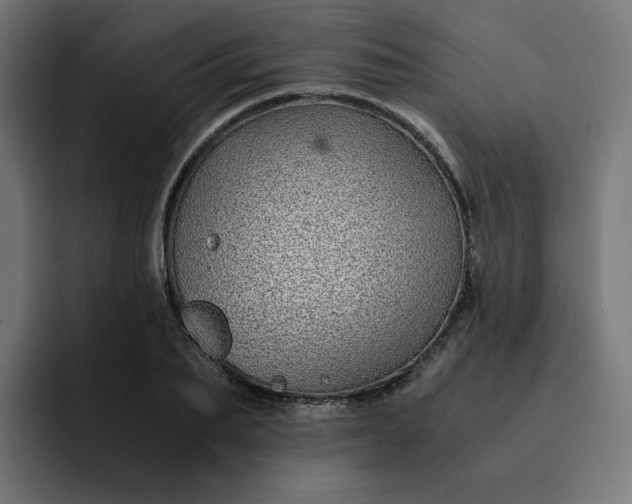 X0000093160887200710101152