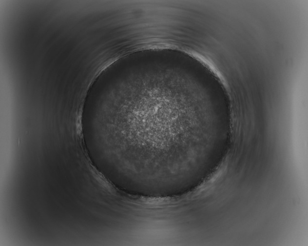 X0000093160889200710101152