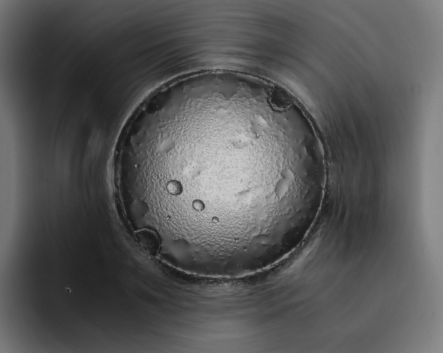 X0000093160891200710101152