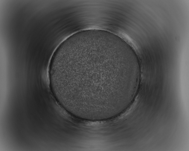 X0000093160892200710101152