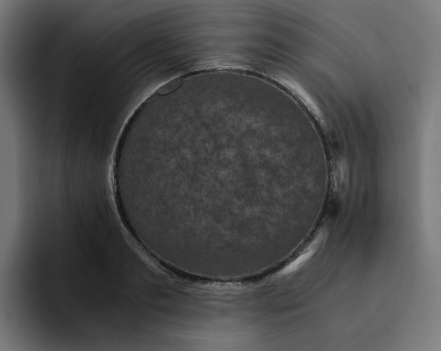 X0000093160893200710101152