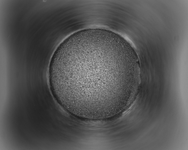 X0000093160895200710101152