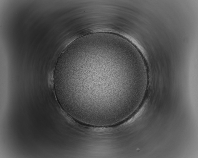 X0000093160897200710101152