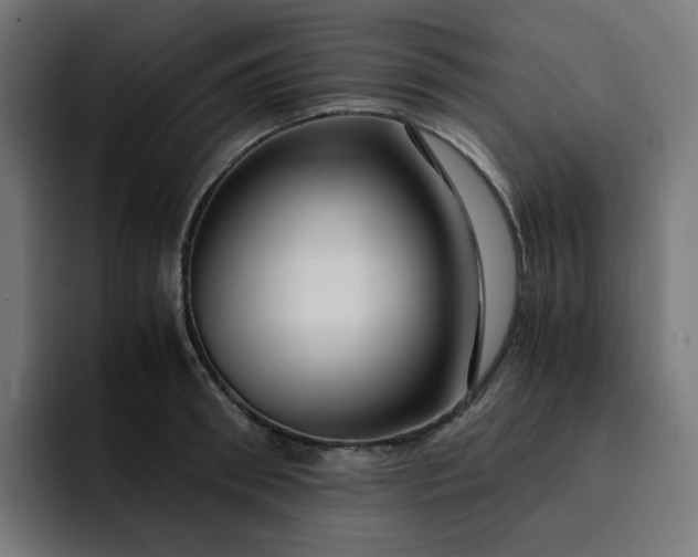 X0000093160898200710101152
