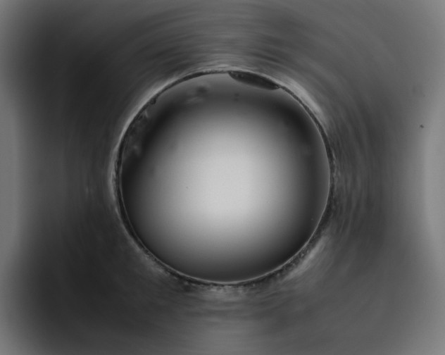 X0000093160901200710101152