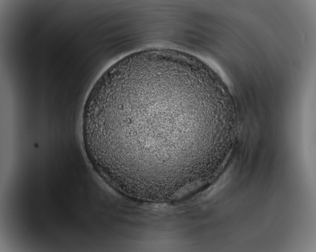 X0000093160903200710101152