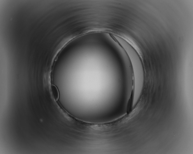 X0000093160906200710101152