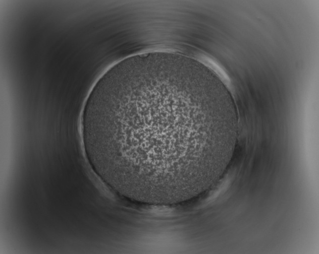 X0000093160907200710101152