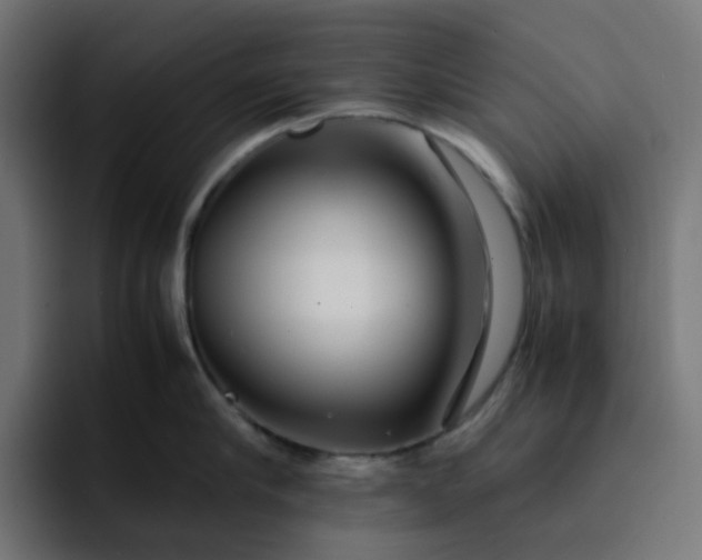 X0000093160910200710101152