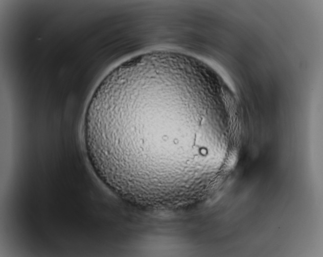 X0000093160911200710101152