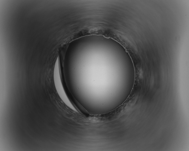 X0000093160914200710101151