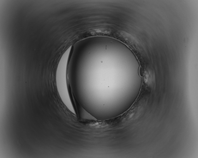 X0000093160915200710101151