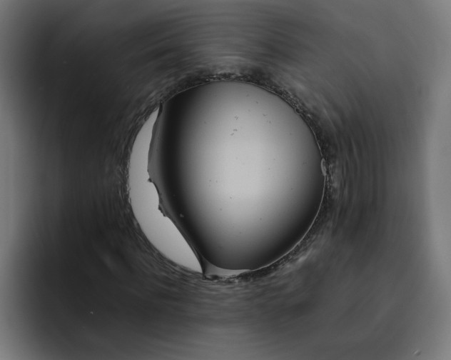 X0000093160916200710101151