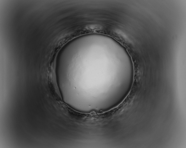X0000093160917200710101151