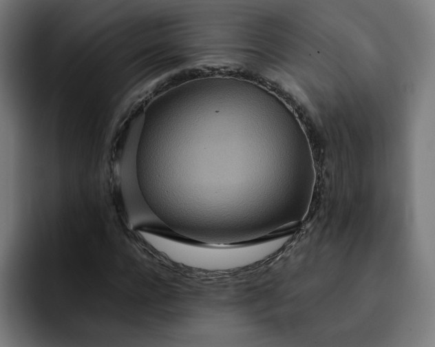 X0000093160920200710101151