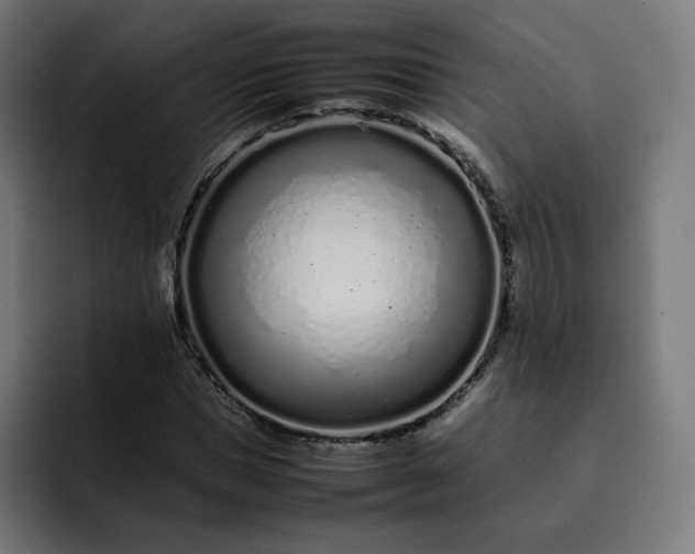 X0000093160921200710101151