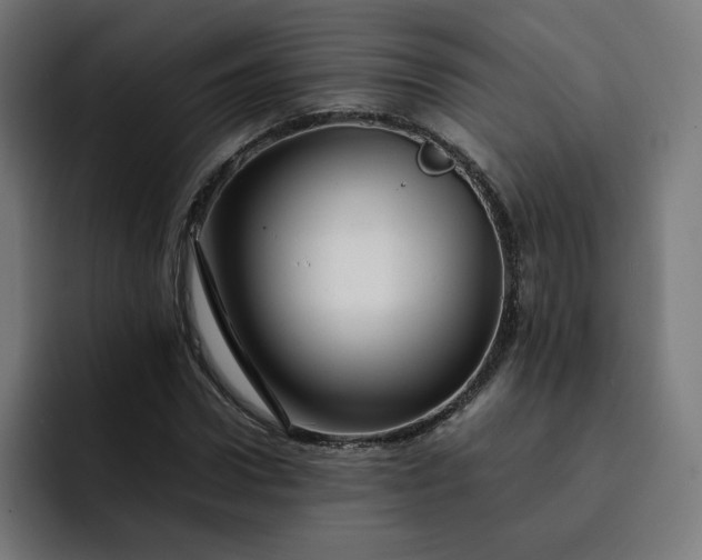X0000093160922200710101151