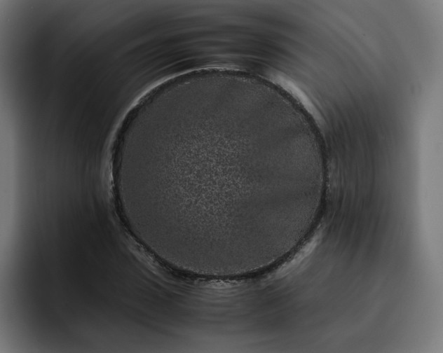 X0000093160923200710101151