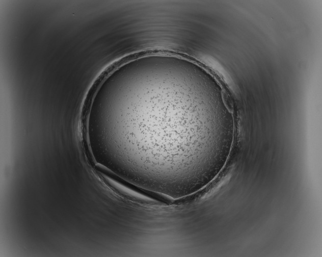 X0000093160924200710101151
