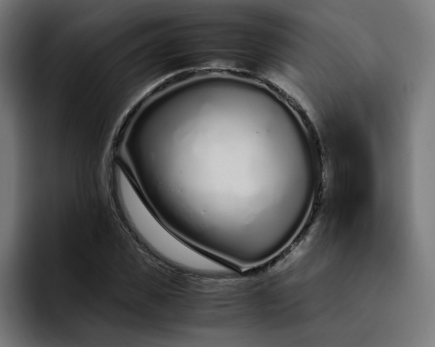 X0000093160925200710101151